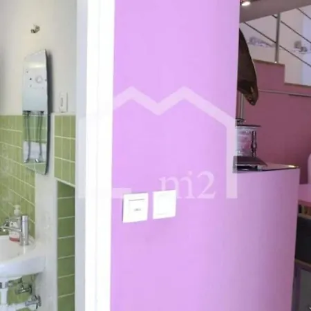 Apartament Studio Emaviolet *